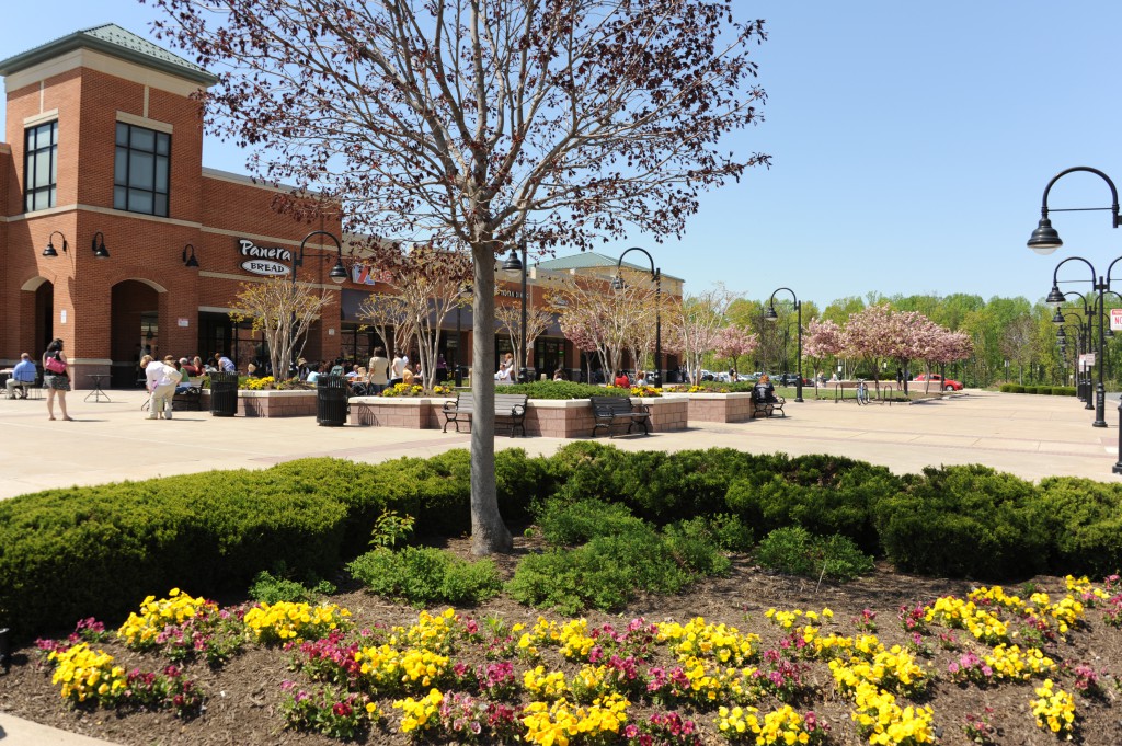 flowers-at-town-centre-1024x681