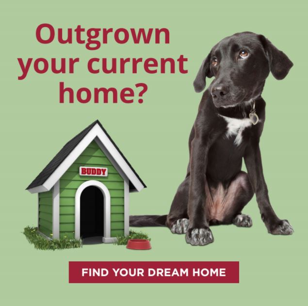 Find Your Dream Home